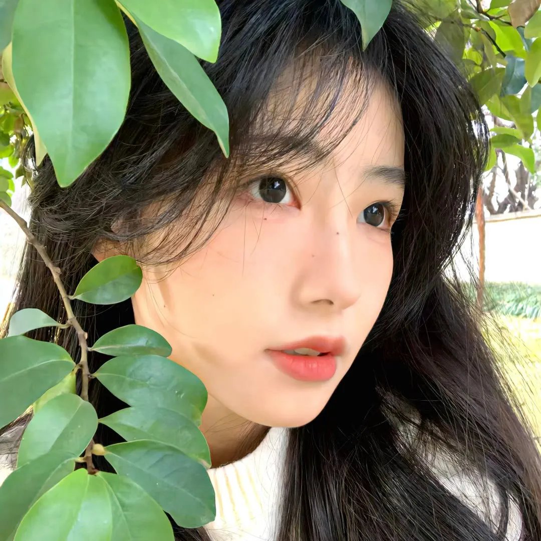 檀岛春色